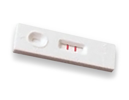INTEX Gravi HCG Test de grossesse p.à 10 cassettes-test