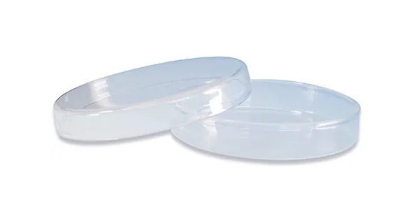 Petrischale mit Deckel aus Glas Ø 60mm Höhe 15mm sterilisierbar